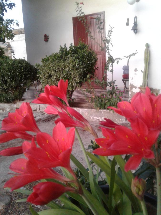 Hotel Ferme Walila à Fertassa Extérieur photo